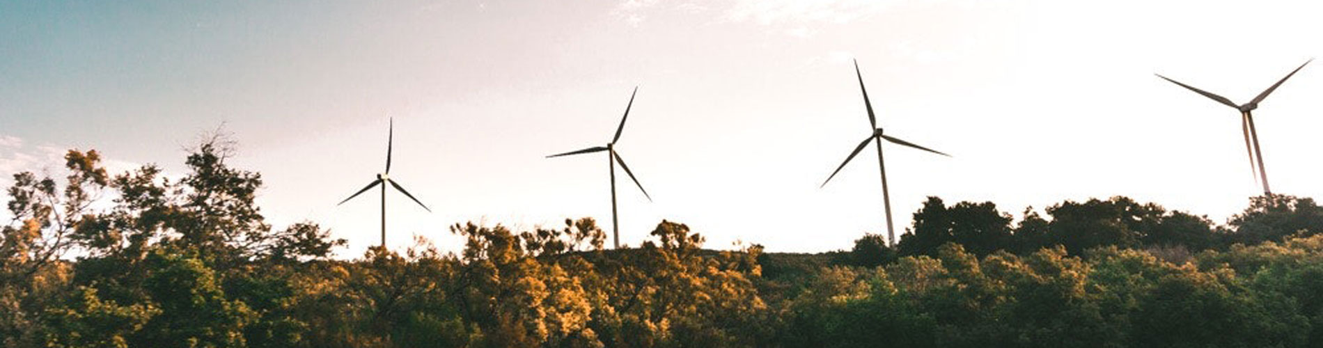Quelle: Pexels Windräder hinter Baumkronen